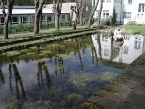 Die Badende im verkrauteten Becken